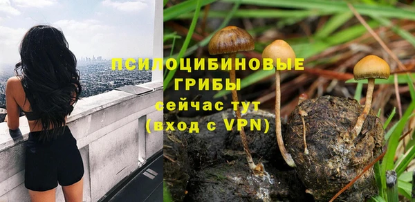 спайс Аркадак