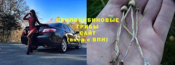 эйфоретик Балахна