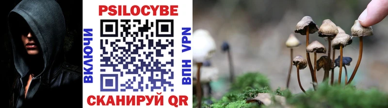 как найти закладки  Бежецк  Галлюциногенные грибы мицелий 