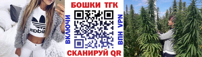 Каннабис сатива как найти наркотики Бежецк